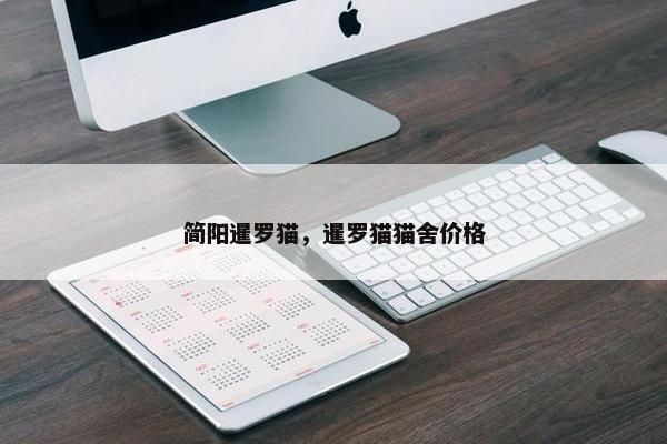 简阳暹罗猫，暹罗猫猫舍价格