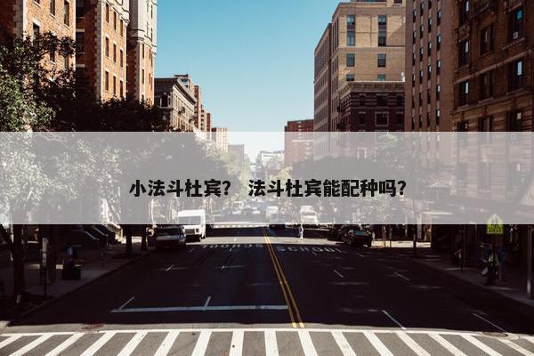 小法斗杜宾？ 法斗杜宾能配种吗？
