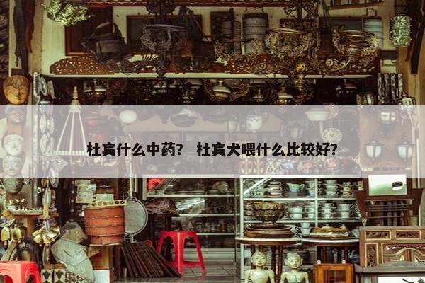 杜宾什么中药？ 杜宾犬喂什么比较好？