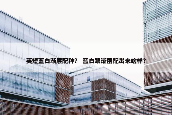 英短蓝白渐层配种？ 蓝白跟渐层配出来啥样？