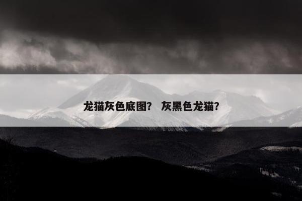 龙猫灰色底图？ 灰黑色龙猫？