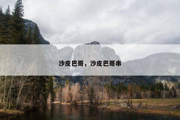 沙皮巴哥，沙皮巴哥串