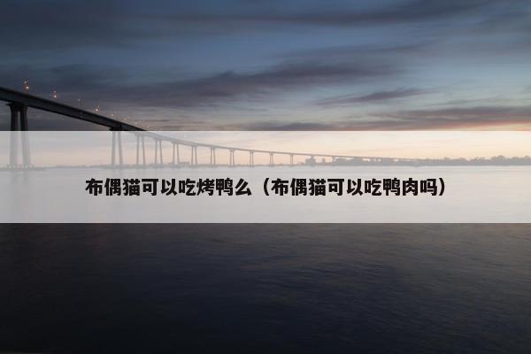 布偶猫可以吃烤鸭么（布偶猫可以吃鸭肉吗）