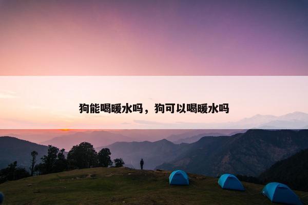 狗能喝暖水吗，狗可以喝暖水吗