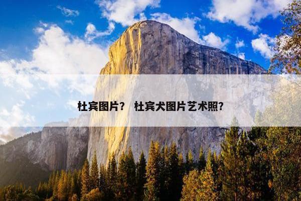 杜宾图片？ 杜宾犬图片艺术照？