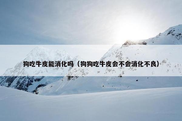 狗吃牛皮能消化吗（狗狗吃牛皮会不会消化不良）