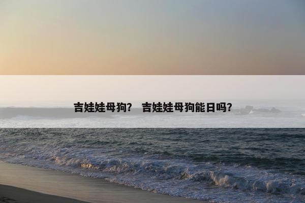 吉娃娃母狗？ 吉娃娃母狗能日吗？