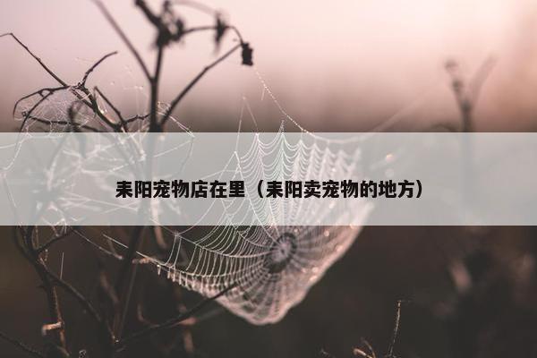 耒阳宠物店在里（耒阳卖宠物的地方）