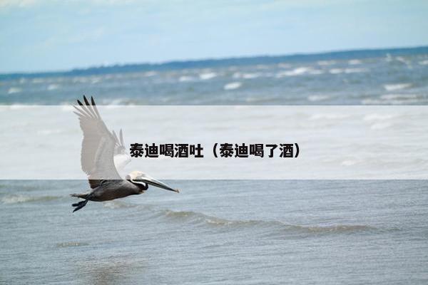 泰迪喝酒吐（泰迪喝了酒）