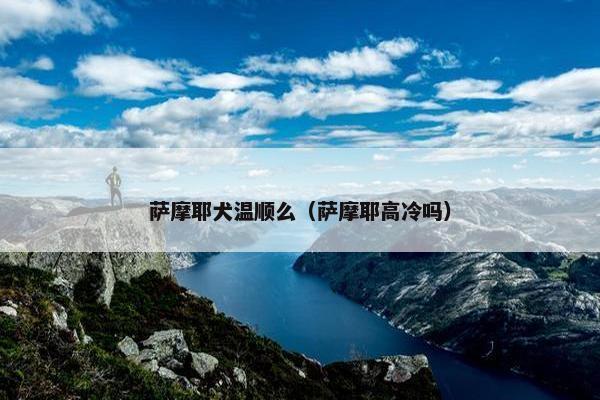 萨摩耶犬温顺么（萨摩耶高冷吗）