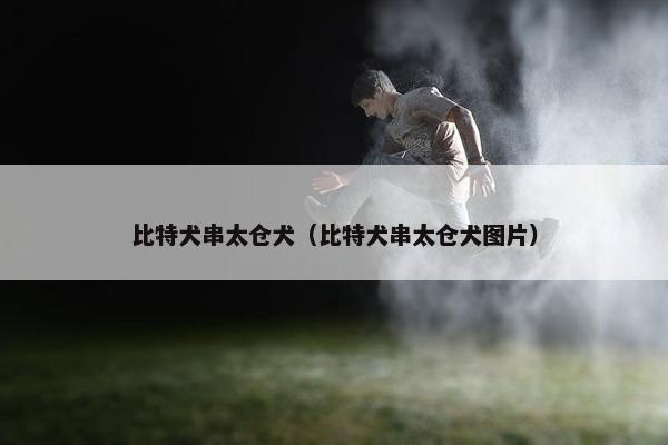 比特犬串太仓犬（比特犬串太仓犬图片）