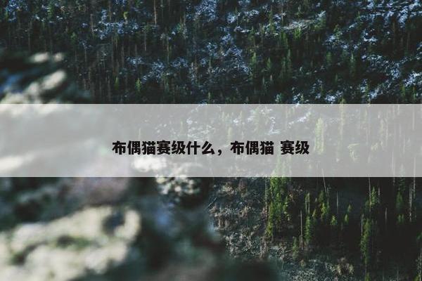 布偶猫赛级什么，布偶猫 赛级