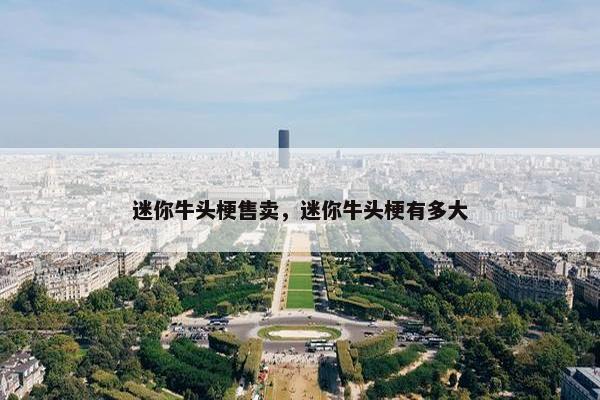 迷你牛头梗售卖，迷你牛头梗有多大
