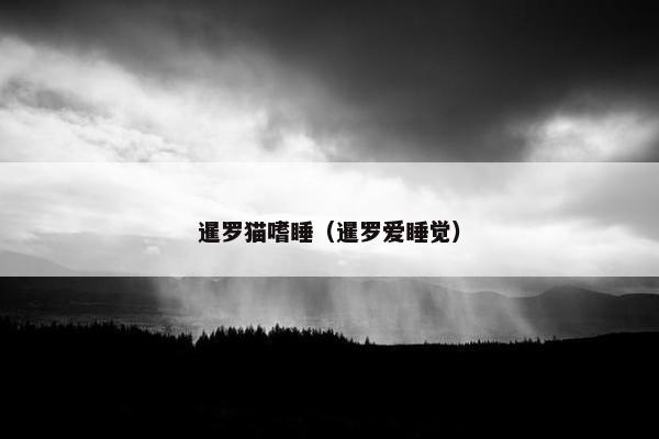 暹罗猫嗜睡（暹罗爱睡觉）