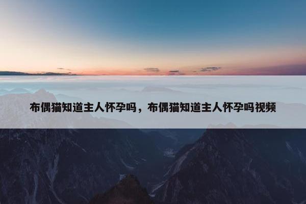 布偶猫知道主人怀孕吗，布偶猫知道主人怀孕吗视频