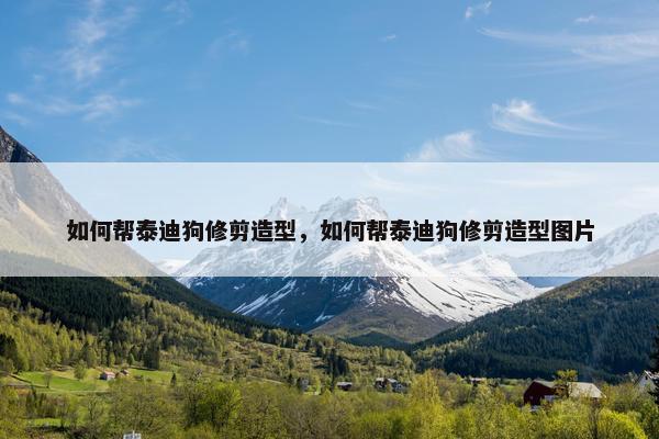 如何帮泰迪狗修剪造型，如何帮泰迪狗修剪造型图片
