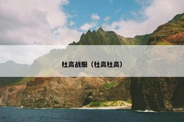 杜高战服（杜高杜高）