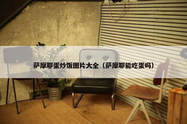 萨摩耶蛋炒饭图片大全（萨摩耶能吃蛋吗）