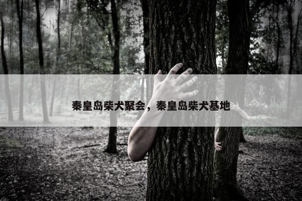 秦皇岛柴犬聚会，秦皇岛柴犬基地