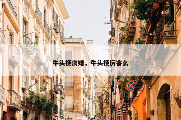 牛头梗离婚，牛头梗厉害么