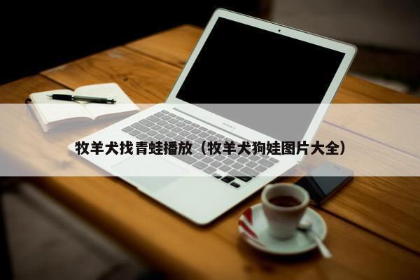 牧羊犬找青蛙播放（牧羊犬狗娃图片大全）