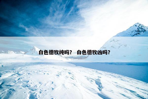 白色德牧纯吗？ 白色德牧凶吗？