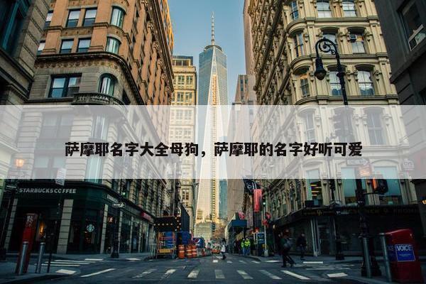萨摩耶名字大全母狗，萨摩耶的名字好听可爱