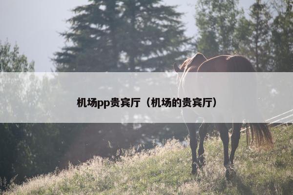 机场pp贵宾厅（机场的贵宾厅）