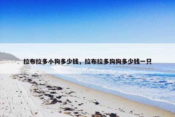 拉布拉多小狗多少钱，拉布拉多狗狗多少钱一只