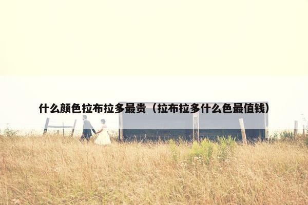 什么颜色拉布拉多最贵（拉布拉多什么色最值钱）