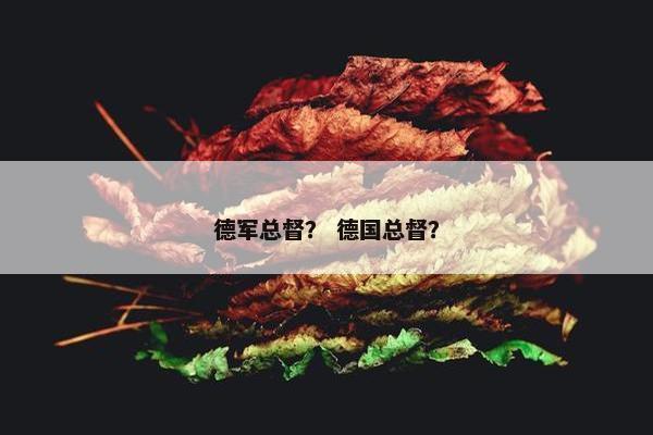德军总督？ 德国总督？