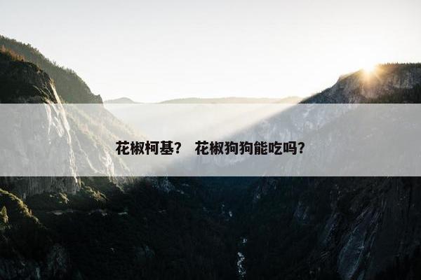 花椒柯基？ 花椒狗狗能吃吗？