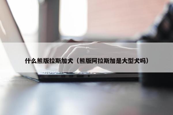 什么熊版拉斯加犬（熊版阿拉斯加是大型犬吗）