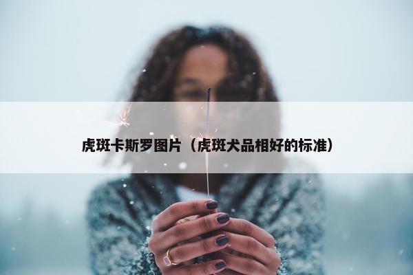 虎斑卡斯罗图片（虎斑犬品相好的标准）
