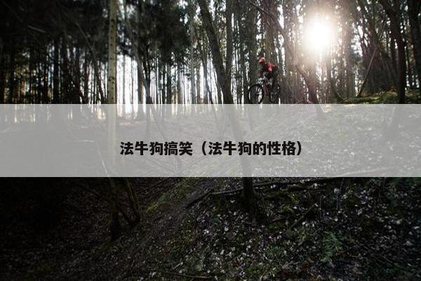 法牛狗搞笑（法牛狗的性格）