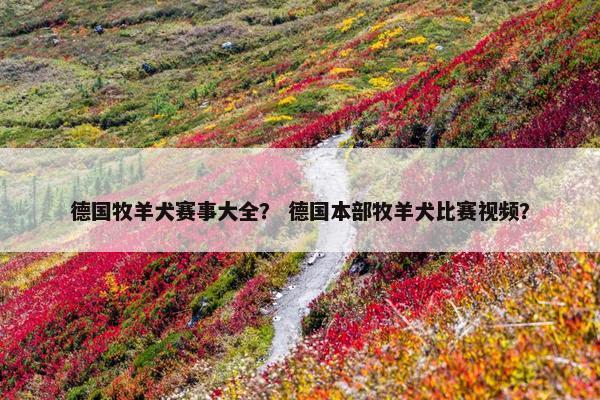 德国牧羊犬赛事大全？ 德国本部牧羊犬比赛视频？