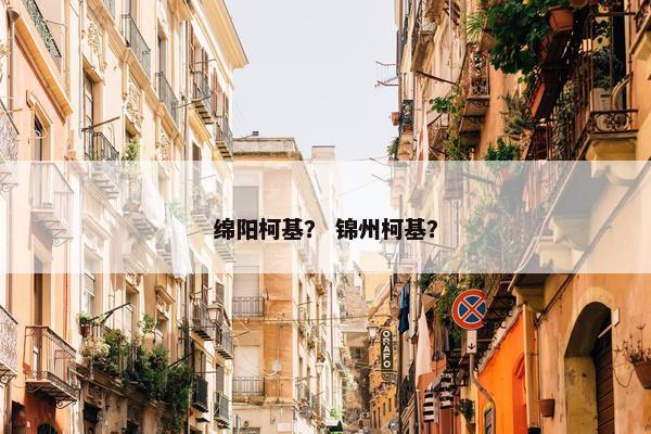绵阳柯基？ 锦州柯基？