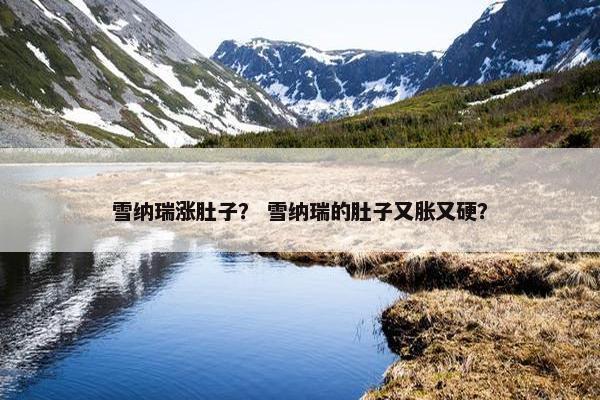 雪纳瑞涨肚子？ 雪纳瑞的肚子又胀又硬？
