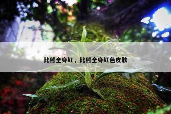 比熊全身红，比熊全身红色皮肤