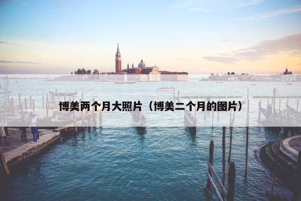 博美两个月大照片（博美二个月的图片）