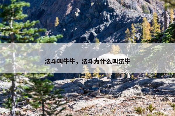 法斗叫牛牛，法斗为什么叫法牛