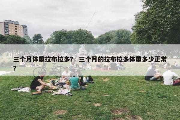 三个月体重拉布拉多？ 三个月的拉布拉多体重多少正常？