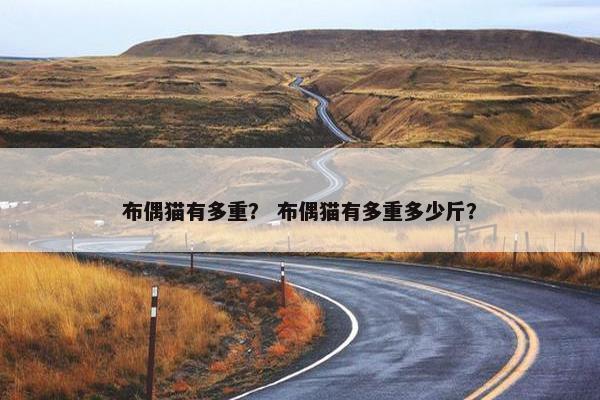 布偶猫有多重？ 布偶猫有多重多少斤？