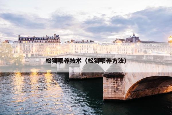 松狮喂养技术（松狮喂养方法）