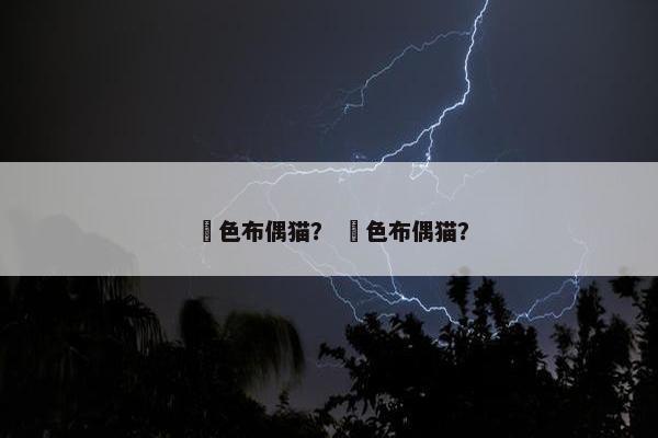 汎色布偶猫？ 竼色布偶猫？