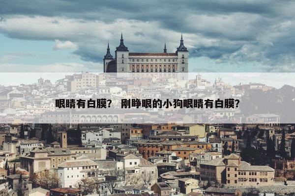 眼睛有白膜？ 刚睁眼的小狗眼睛有白膜？