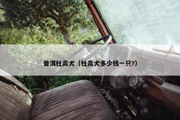 普洱杜高犬（杜高犬多少钱一只?）