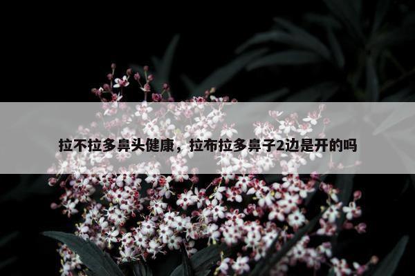 拉不拉多鼻头健康，拉布拉多鼻子2边是开的吗