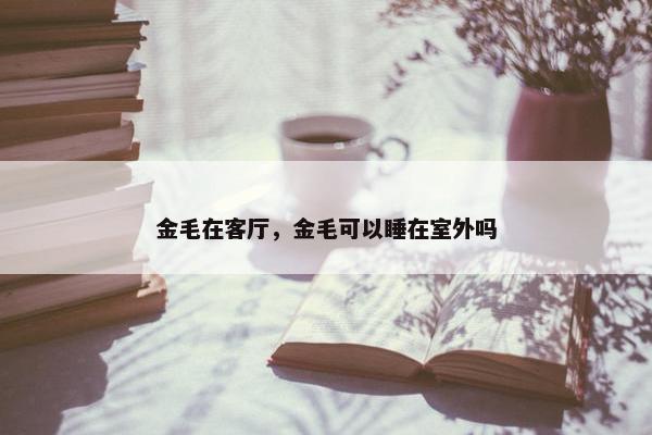 金毛在客厅，金毛可以睡在室外吗