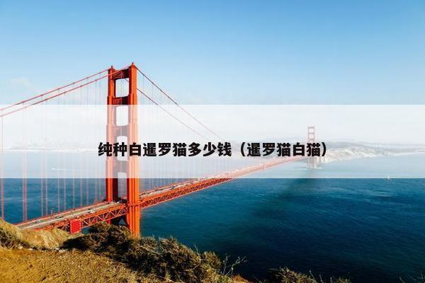 纯种白暹罗猫多少钱（暹罗猫白猫）